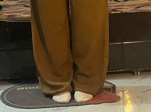 Wide Leg Brown Trousers