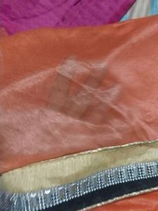 Orange Saree with Embellished Border