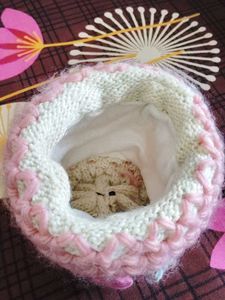 Cute Knitted Women Hat 😍