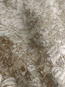 Elegant Lace Saree with Embellished Border