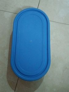 Blue Oval Food Container