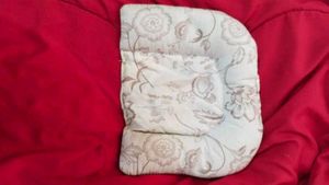 Rai ka pillow