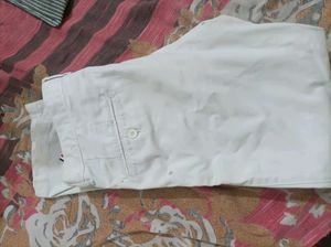 Louis Philippe Pant