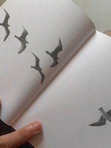Jonathan Livingston Seagull - Complete Edition