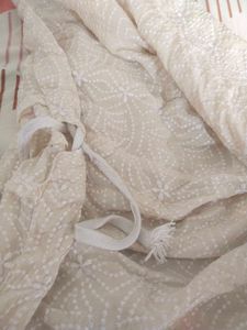 Elegant Chikankari Kurta Set