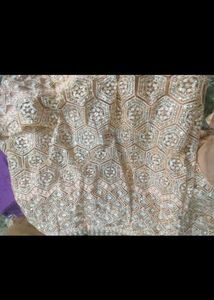 Elegant Embellished Lehenga