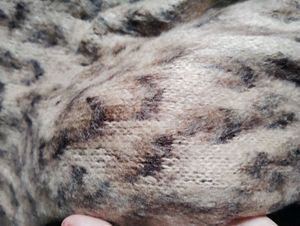 Animal print knit sweater
