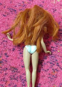 combo of Winx Bloom Doll and lol surprise