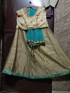 Elegant Lehenga Choli Set
