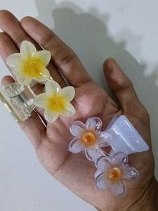 Cute Flower Hair Clips (Set of 4)