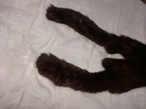 Mink Fur Scarf