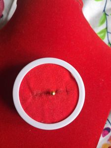 Elegant Stud nosepin