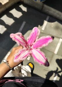 Fuzzy Wire Flowers