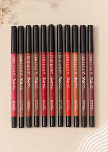 swiss beauty bold matt lipliner