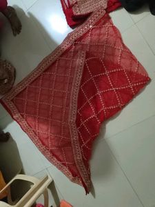 Sabyasachi Replaca Stunning Red Bridal Lehenga Cho