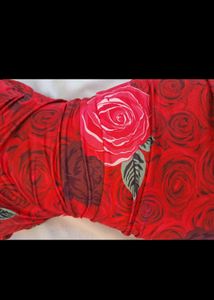 Most Beautiful Bodycon