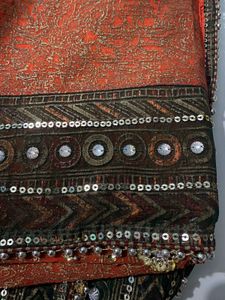 Beautiful Embellished Saree