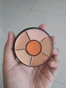 Insight Pro Concealer Palette