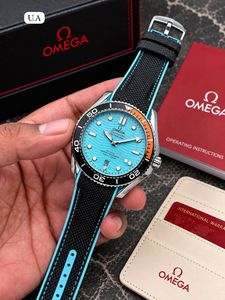 Omega Seamaster Professional Watch