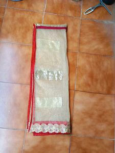 Sequin Lehenga Choli Set