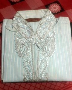 Light Sea Green Color Men's Cotton Kurta With Embroidery On Collar and Neck