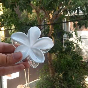 Clear Flower Hair Clip