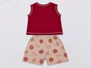 Cute Baby Dress Set | Maroon Top &amp; Printed Bottom