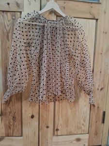 Sheer Polka Dot Blouse