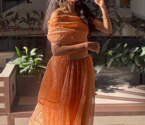 Elegant Orange organza Lehenga Choli