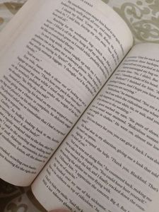 The Spanish Love Deception Novel
