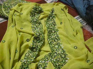 Embroidered Green Blouse and palzoo with sharg