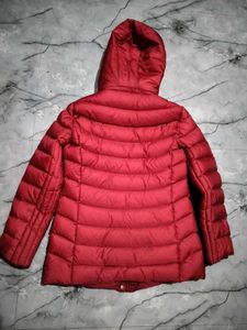 arnold palmer Red Padded Jacket with Hood