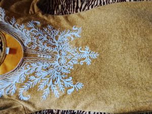Embroidered Kurta  set with dupatta