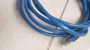 Blue Ethernet Cable