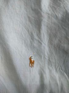 Ralph Lauren Button-Down Shirt