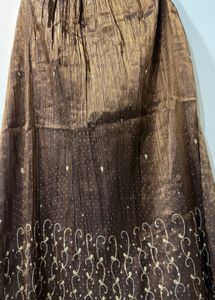 Stunning Sequin top and skirt with dupatta