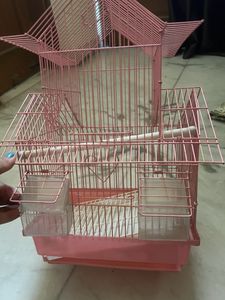 Bird Cage
