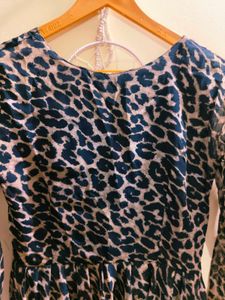 Animal Print Long Sleeve Dress