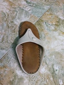 Slipper Sponge