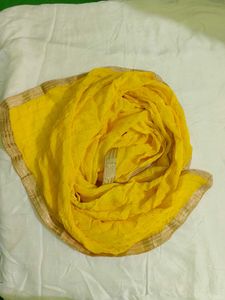 Elegant heavy Punjabi Dupptta 💛