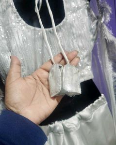 Silver Lehenga Choli Set