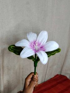 Beautiful White Pipecleaner Flower🤍