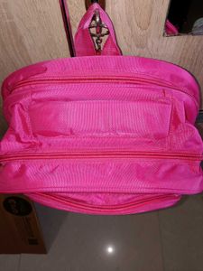 Frozen School Bag For Girls 5-10 Years