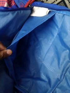 Original Skybags Cricket Themed Blue Backpack