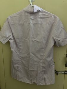 Striped Short Sleeve Button-Up Shirt