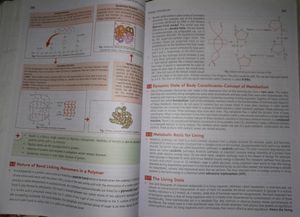 MTG NCERT at your Fingertips Biology 11&amp;12
