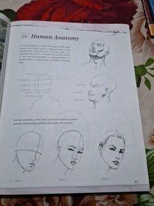 Class 7 Textbooks Bundle