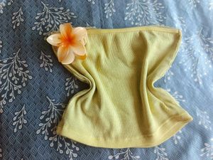 Cute Ribbed Crop Top