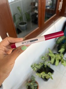 Swiss Beauty Matte Lip Crayon