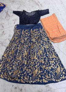 Embroidered Lehenga Choli Set